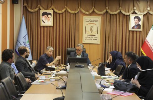 بررسی مسائل و مطالبات پرستاران حوزه بهداشت در نشست کارگروه پرستاران بهداشت کشور