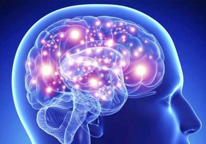 به چه علت مغز اشتباهات را توجیه می‌کند؟