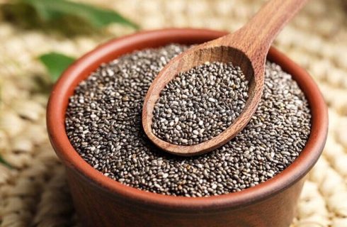 دانه چیا برای سلامت روده بهتر است یا جودوسر؟