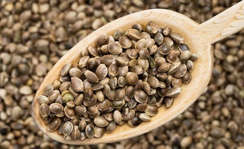شاهدانه در مقابل دانه کتان؛ بهتر است کدام‌یک را مصرف کنیم؟