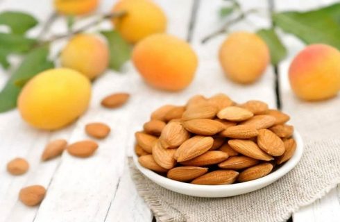 هسته زردآلو را نخورید!/ تلخی گیری به معنی بی خطر شدن هسته نیست! هسته زردآلو را نخورید!/ تلخی گیری به معنی بی خطر شدن هسته نیست!