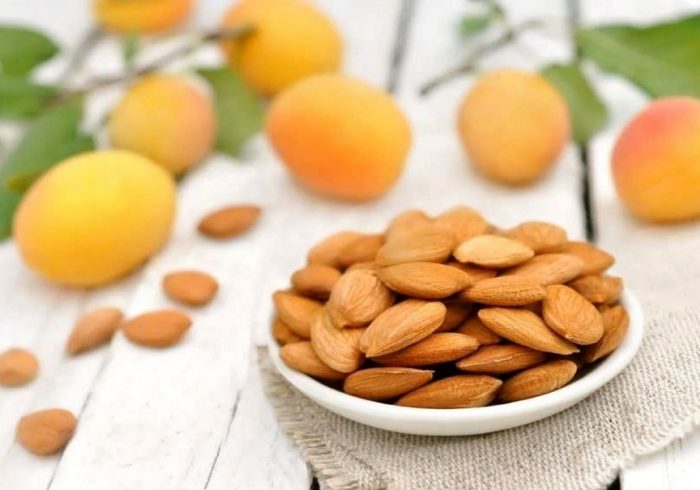 هسته زردآلو را نخورید!/ تلخی گیری به معنی بی خطر شدن هسته نیست!