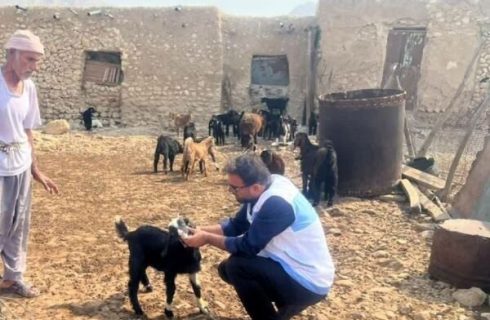 پایش سلامت دام‌ها در روستاهای شهرستان دیر