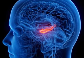کوچک شدن مرکز حافظه مغز در افراد افسرده