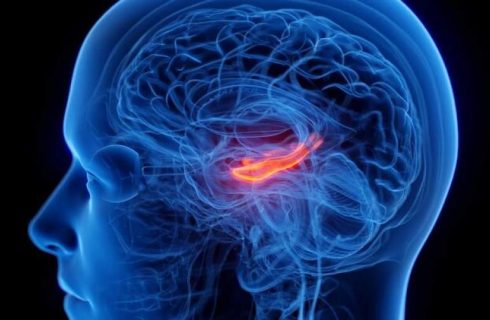 کوچک شدن مرکز حافظه مغز در افراد افسرده کوچک شدن مرکز حافظه مغز در افراد افسرده