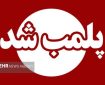 ۷ قصابی غیرمجاز در جوانرود پلمب شد