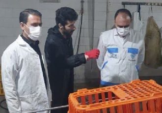 الزامات بهداشتی در کشتارگاه طیور اسلام‌آبادغرب رعایت شود