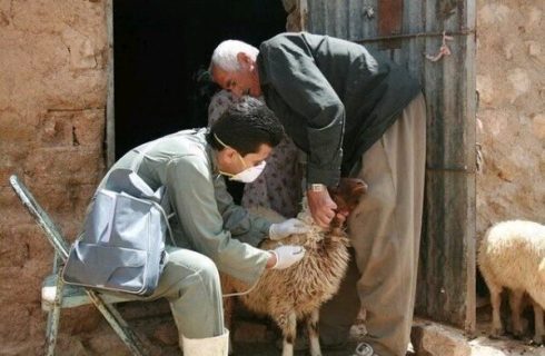 طرح واکسیناسیون بیش از ۲میلیون رأس دام در سیستان و بلوچستان