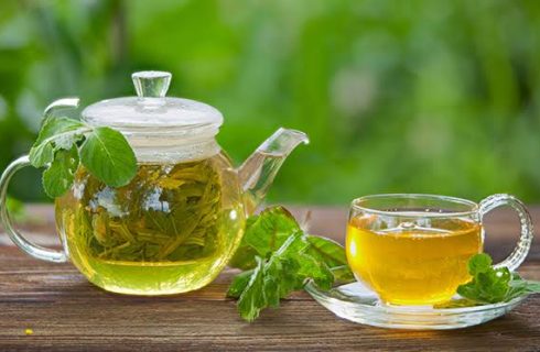 چای سبز؛ نوشیدنی سرشار از ترکیبات گیاهی چای سبز؛ نوشیدنی سرشار از ترکیبات گیاهی