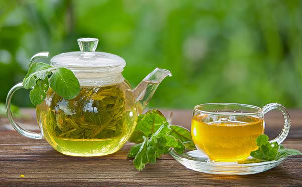 چای سبز؛ نوشیدنی سرشار از ترکیبات گیاهی