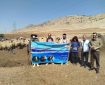 اردوی جهادی دامپزشکی به یاری عشایر دالاهو رفت