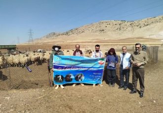 اردوی جهادی دامپزشکی به یاری عشایر دالاهو رفت