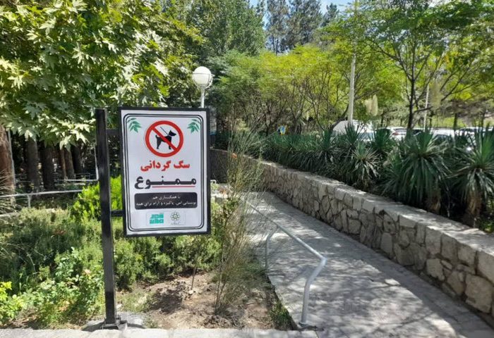 سگ‌گردانی؛ سبک زندگی جدید یا پاسخی به تنهایی و انزوای شهری؟