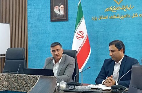 مازاد ۵۰ درصدی استان یزد در تولید شیر و مرغ