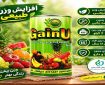 پودر «گین آپ» چند روزه چاق می‌کند؟؛ بررسی زمان اثر و نحوه مصرف