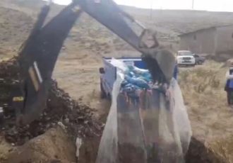 کشف و معدوم‌سازی حدود ۲ تن ضایعات مرغ فاسد در هوراند