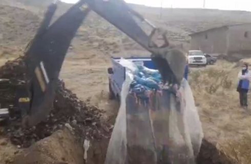 کشف و معدوم‌سازی حدود ۲ تن ضایعات مرغ فاسد در هوراند